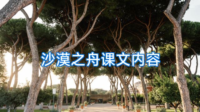 沙漠之舟课文内容
