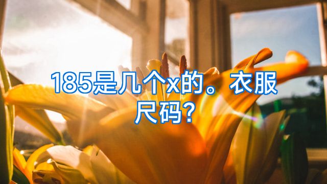 185是几个x的。衣服尺码?