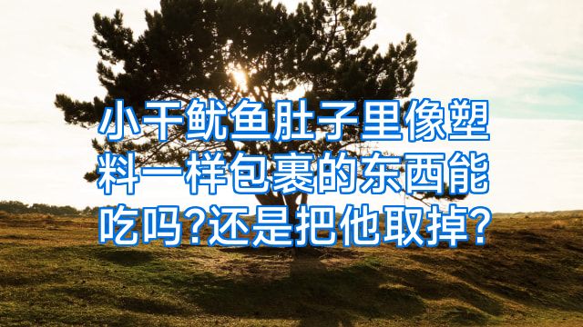 小干鱿鱼肚子里像塑料一样包裹的东西能吃吗?还是把他取掉?