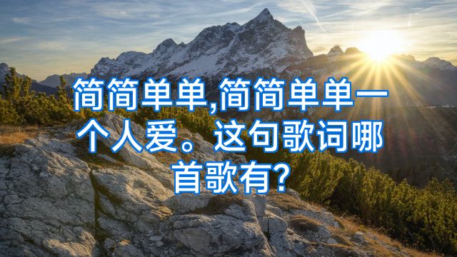 简简单单,简简单单一个人爱。这句歌词哪首歌有?