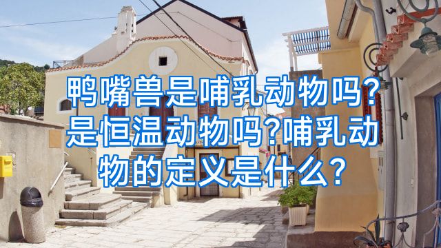 鸭嘴兽是哺乳动物吗?是恒温动物吗?哺乳动物的定义是什么?