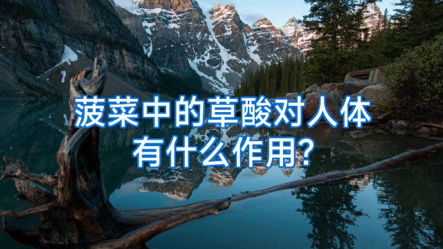 菠菜中的草酸对人体有什么作用?