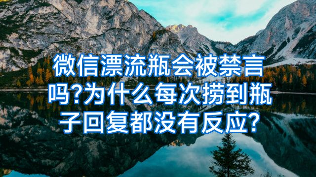 微信漂流瓶会被禁言吗?为什么每次捞到瓶子回复都没有反应?
