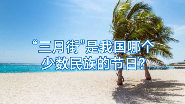 “三月街”是我国哪个少数民族的节日?
