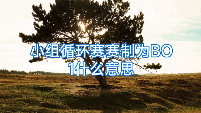 小组循环赛赛制为BO1什么意思