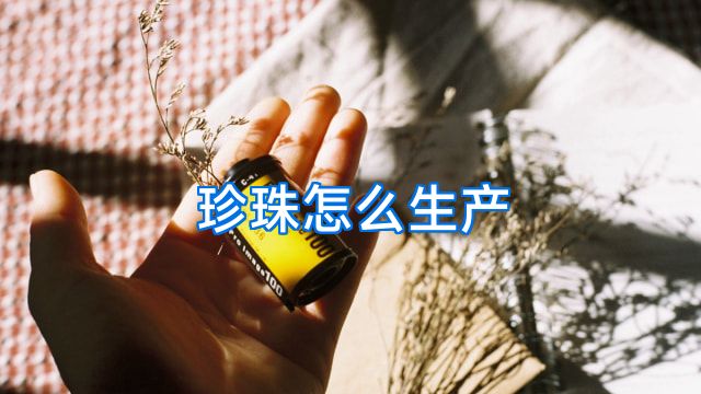 珍珠怎么生产