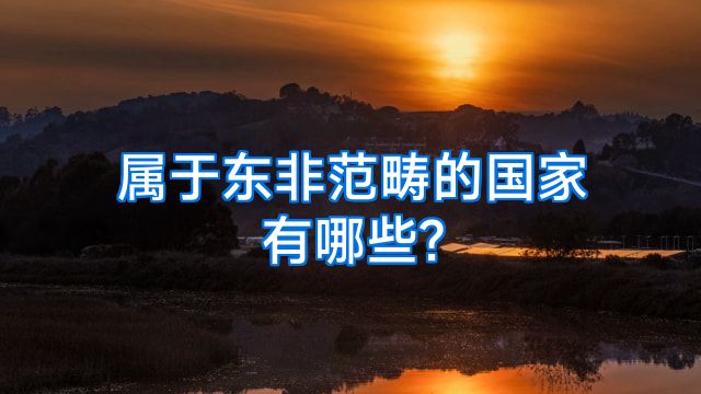 属于东非范畴的国家有哪些?