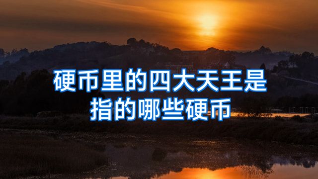 硬币里的四大天王是指的哪些硬币