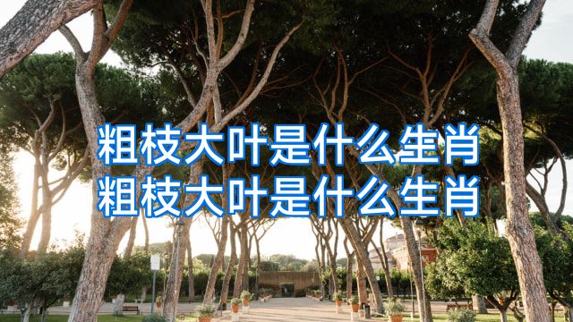 粗枝大叶是什么生肖粗枝大叶是什么生肖