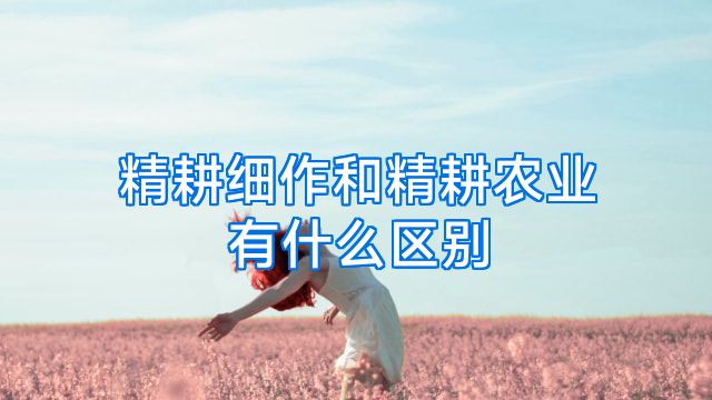 精耕细作和精耕农业有什么区别