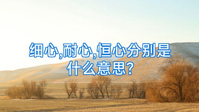 细心,耐心,恒心分别是什么意思?