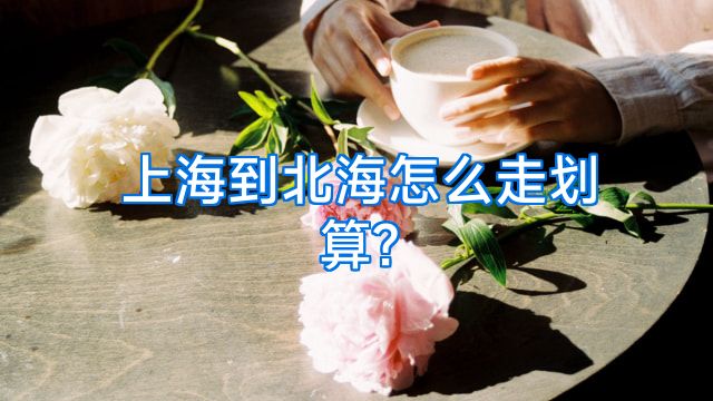 上海到北海怎么走划算?