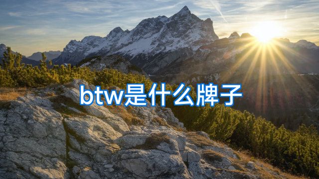 btw是什么牌子