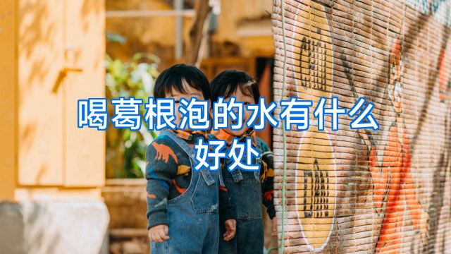 喝葛根泡的水有什么好处