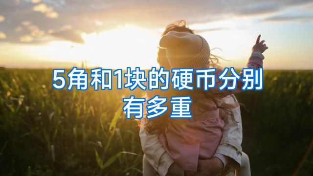5角和1块的硬币分别有多重