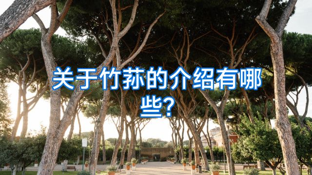关于竹荪的介绍有哪些?