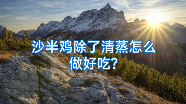 沙半鸡除了清蒸怎么做好吃?