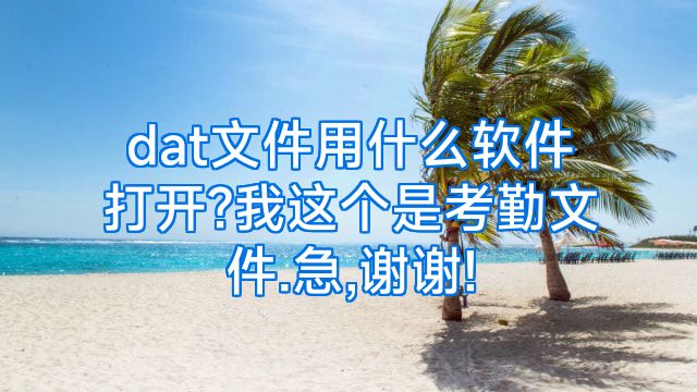 dat文件用什么软件打开?我这个是考勤文件.急,谢谢!