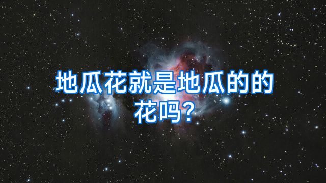 地瓜花就是地瓜的的花吗?