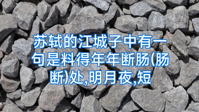 苏轼的江城子中有一句是料得年年断肠(肠断)处,明月夜,短