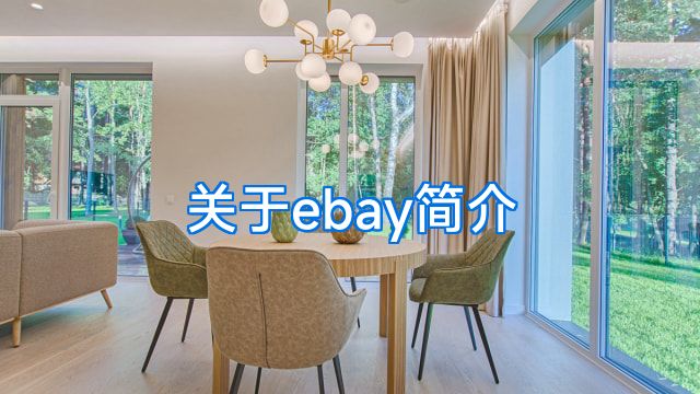 关于ebay简介