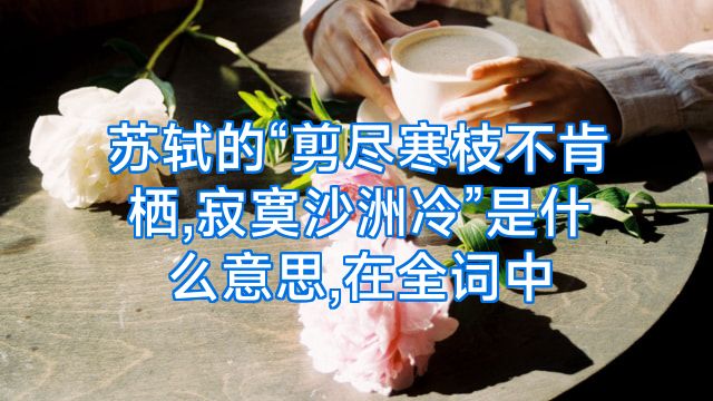 苏轼的“剪尽寒枝不肯栖,寂寞沙洲冷”是什么意思,在全词中