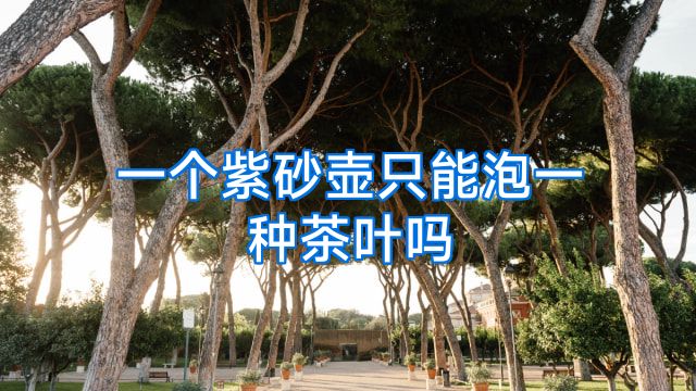 一个紫砂壶只能泡一种茶叶吗
