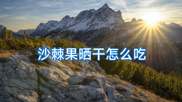 沙棘果晒干怎么吃