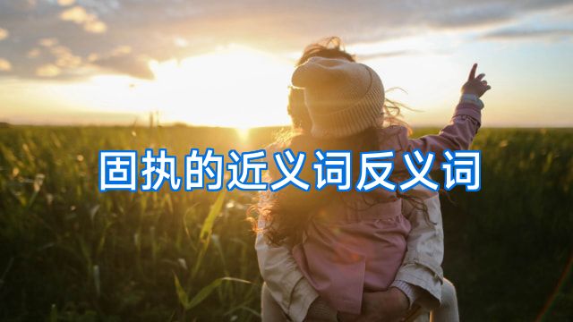 固执的近义词反义词
