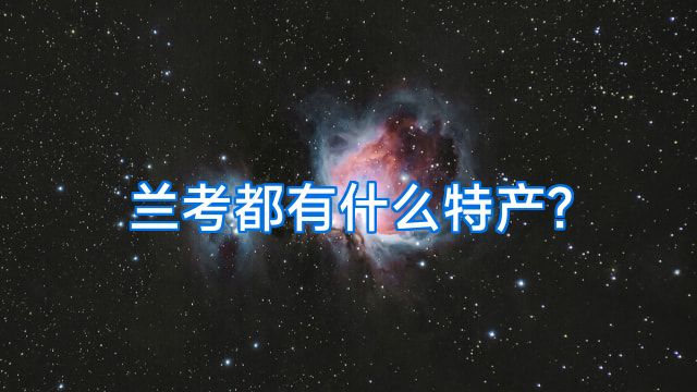 兰考都有什么特产?