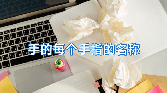 手的每个手指的名称