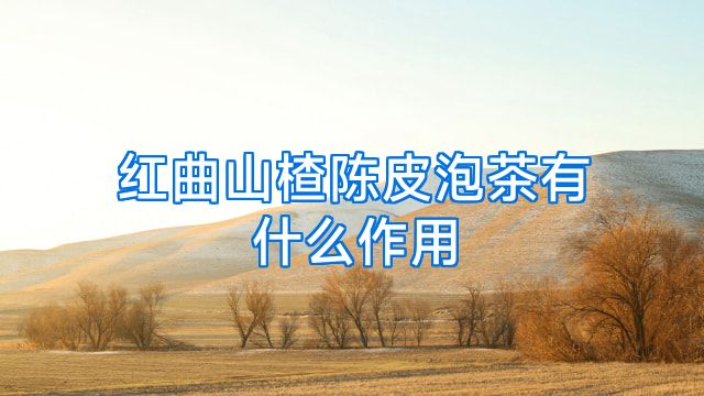 红曲山楂陈皮泡茶有什么作用