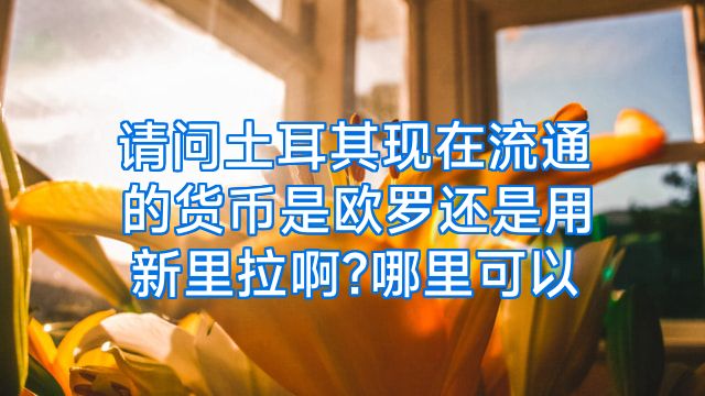 请问土耳其现在流通的货币是欧罗还是用新里拉啊?哪里可以
