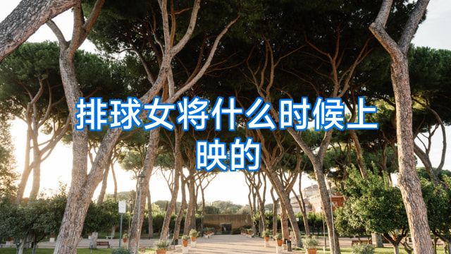 排球女将什么时候上映的