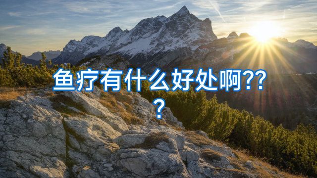 鱼疗有什么好处啊???