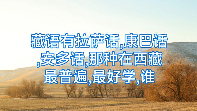 藏语有拉萨话,康巴话,安多话,那种在西藏最普遍,最好学,谁