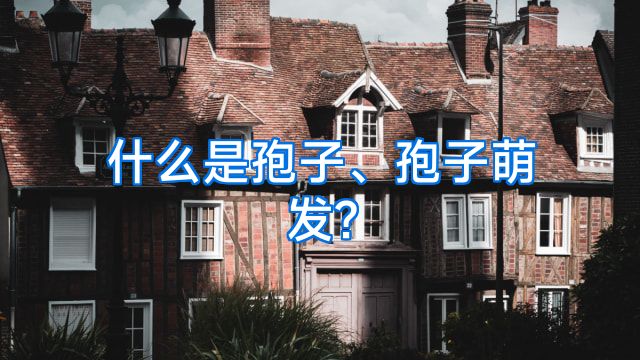 什么是孢子、孢子萌发?