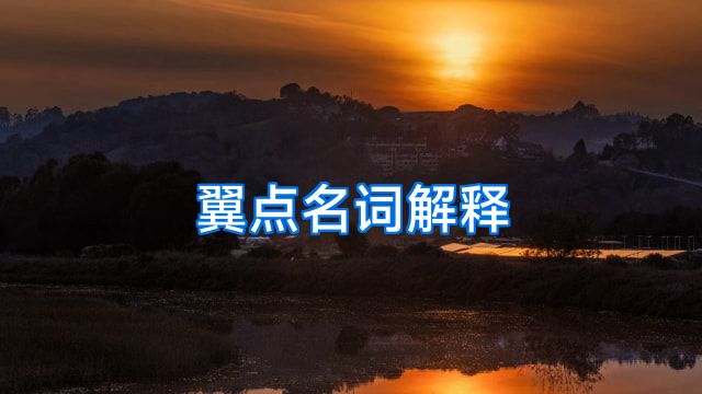 翼点名词解释