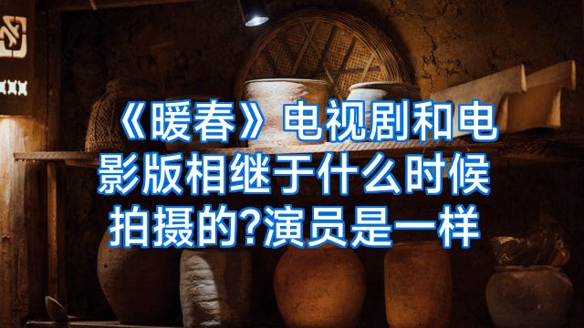 《暖春》电视剧和电影版相继于什么时候拍摄的?演员是一样