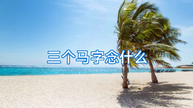 三个马字念什么