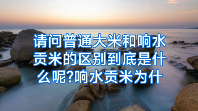请问普通大米和响水贡米的区别到底是什么呢?响水贡米为什