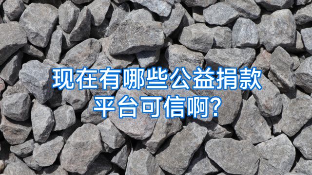 现在有哪些公益捐款平台可信啊?