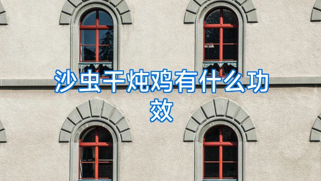 沙虫干炖鸡有什么功效