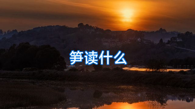 笋读什么