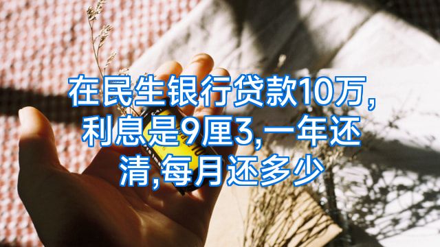 在民生银行贷款10万,利息是9厘3,一年还清,每月还多少