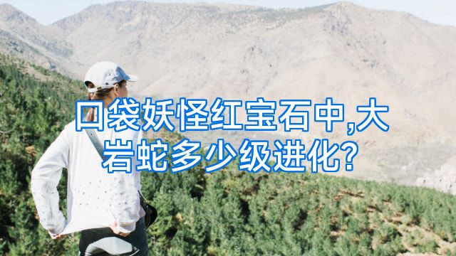 口袋妖怪红宝石中,大岩蛇多少级进化?