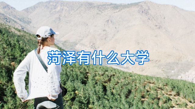 菏泽有什么大学