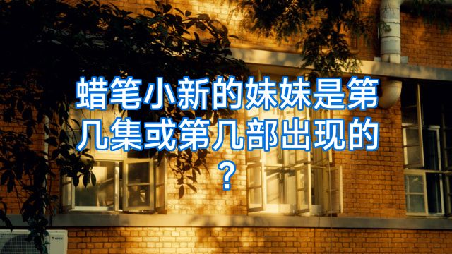 蜡笔小新的妹妹是第几集或第几部出现的?