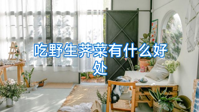 吃野生荠菜有什么好处