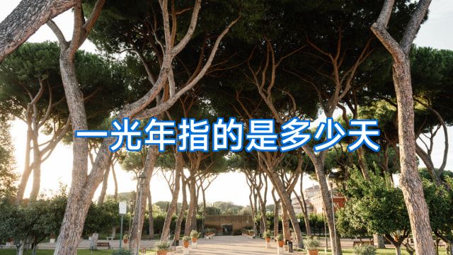 一光年指的是多少天
